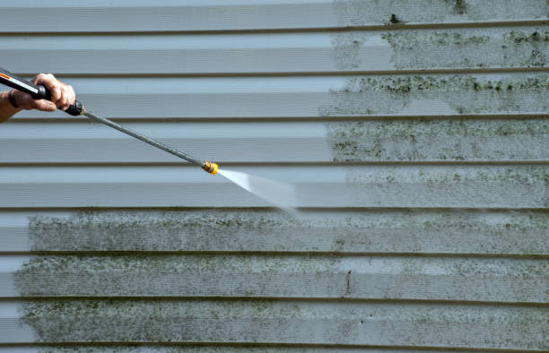 Best House Pressure Washing  in Stockbridge, MI