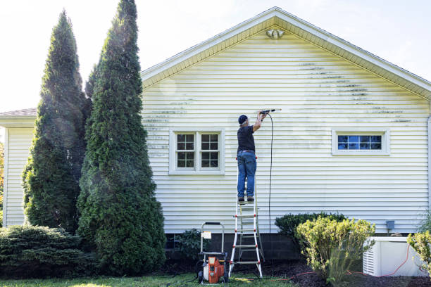 Why Choose Our Certified Pressure Washing Experts for Your Project Needs in Stockbridge, MI?