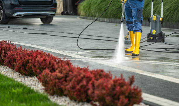 Best Deck Cleaning Services  in Stockbridge, MI