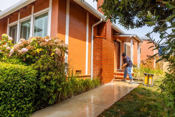 Best Roof Power Washing Services  in Stockbridge, MI