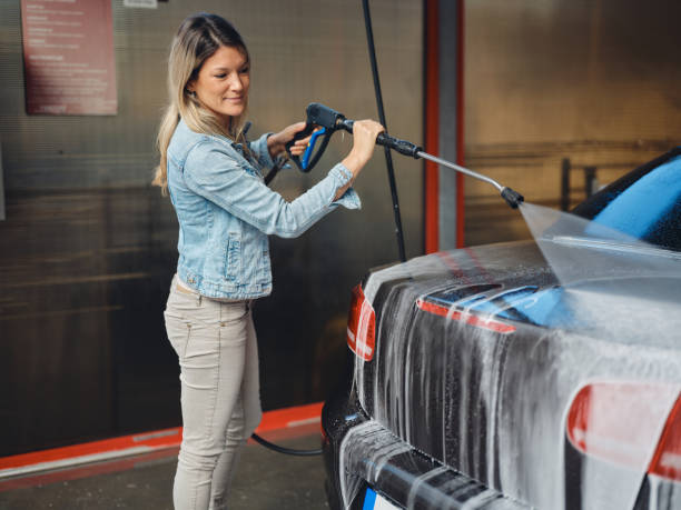 Best Local Pressure Washing Services  in Stockbridge, MI